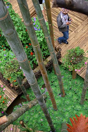 0443 Doi Tung - woning moeder Bhumipol.jpg